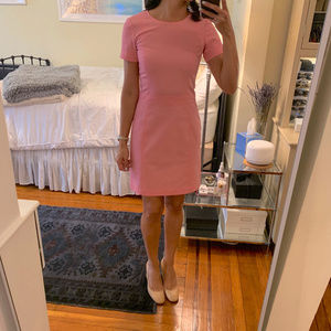 Theory Jubilee Pink Short Sleeve Dress (0)